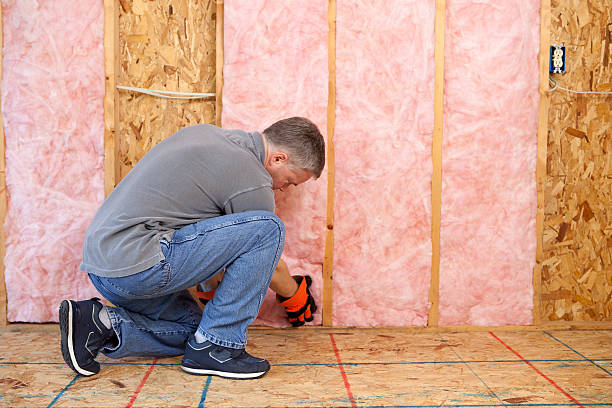 Best Commercial Insulation in Lochbuie, CO